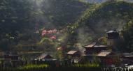 河南旅游文化：青龍山慈云寺第四屆桃花祈福文化節(jié)即將盛大開幕！